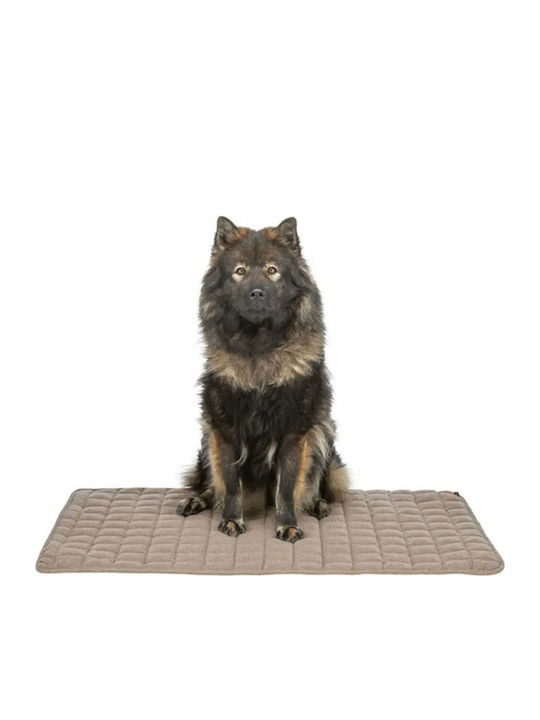 Rug Dog Brown 80x60cm
