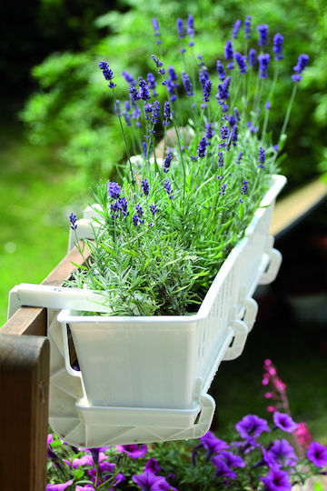 Prosperplast Plastic Flower Pot Anthracite