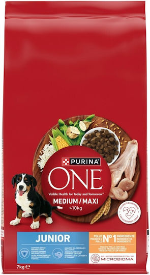 Purina One 7kg Dry Dog Food with Chicken and Rice