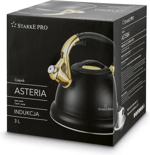 Starke Pro Stainless Steel Gray Boiler 3000ml