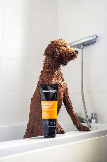 Animology Dogs Curly Coat Hundeshampoo für Hunde 250ml