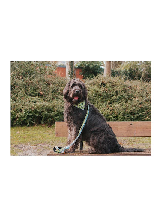 Max & Molly Black Sheep Dog Bandana Small