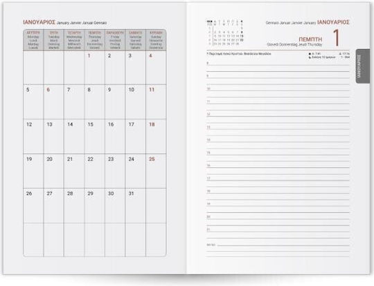 Innostat Daily Diary Palmare 2026 17×25 Bookstore 001489