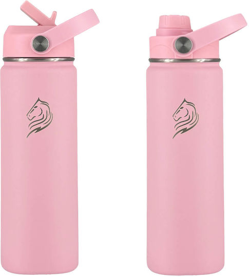 Cool'NMore Stainless Steel Thermos Bottle BPA Free 500ml Flamingo with Straw and Handle