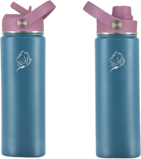 Cool'NMore Μπουκάλι Θερμός Ανοξείδωτο BPA Free 500ml Πολύχρωμο με Καλαμάκι και Λαβή