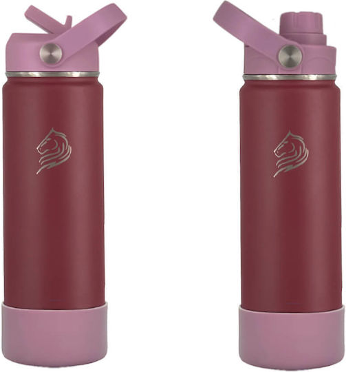 Cool'NMore Бутилка Термос Неръждаема Стомана Без BPA 500ml Многоцветна с Сламка и Дръжка
