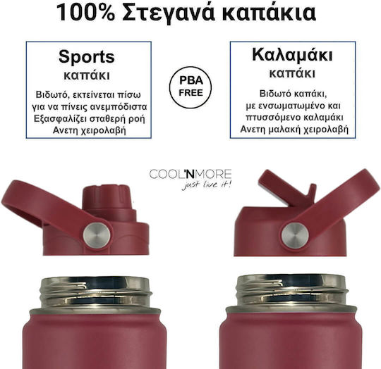 Cool'NMore Бутилка Термос Неръждаема Стомана BPA Free 500ml Неръждаема Стомана със Сламка Дръжка Примка и Мундщук