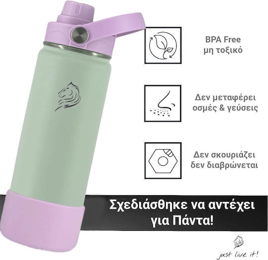 Cool'NMore Stainless Steel Thermos Bottle BPA Free 500ml Stainless Steel with Straw Handle Loop and Mouthpiece