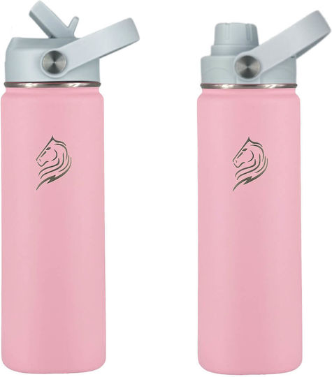 Cool'NMore Stainless Steel Thermos Bottle BPA Free 500ml Stainless Steel with Straw Handle Loop and Mouthpiece