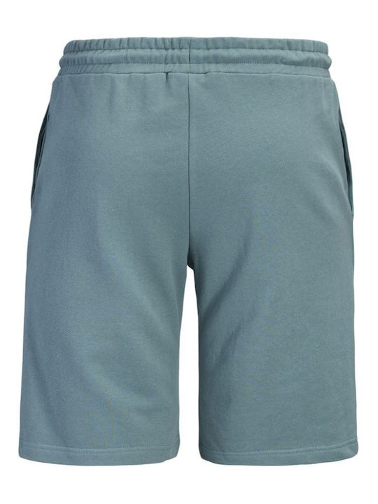 Sport Herren Shorts Mineral Blau