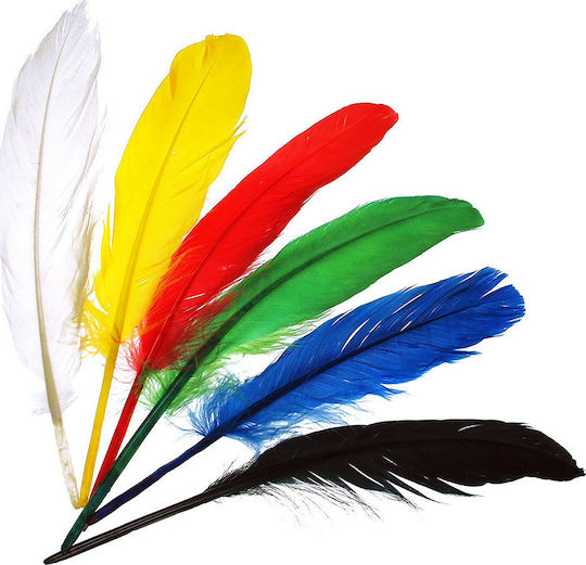 Kleine indische Federn 14 cm Set mit 20 Stück
