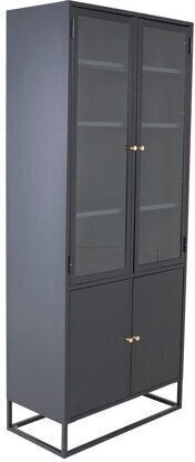 Evasevu 102 De podea Vitrină de living din Metal cu Sticlă 80x41x190cm