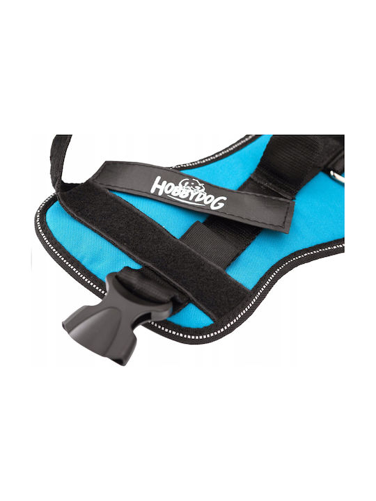 Hobbydog R2 Julletta Blue Harness
