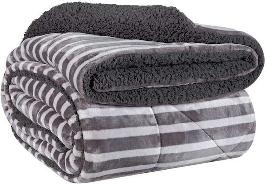 Kentia Charlotte