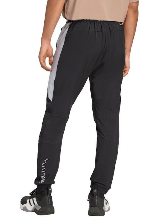 Sweatpants Black