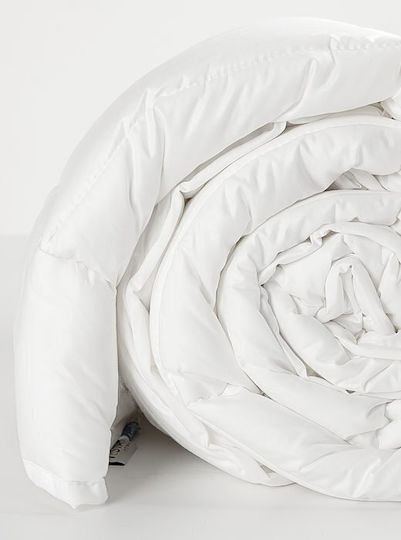 Vesta Home Übergröße 230x240cm 233