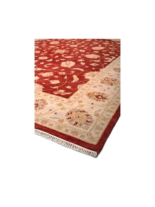 Biokarpet Ziegler 244x309cm-244x309 Biokarpet Ziegler 244x309cm-244x309