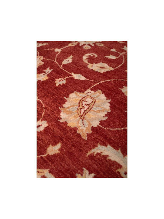 Biokarpet Зиглер 244x309см-244x309