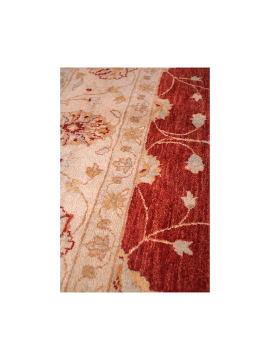 Biokarpet Зиглер 244x309см-244x309