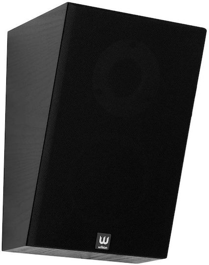 Wilson Raptor Paar Hi-Fi Lautsprecher Buch selbst Schwarz