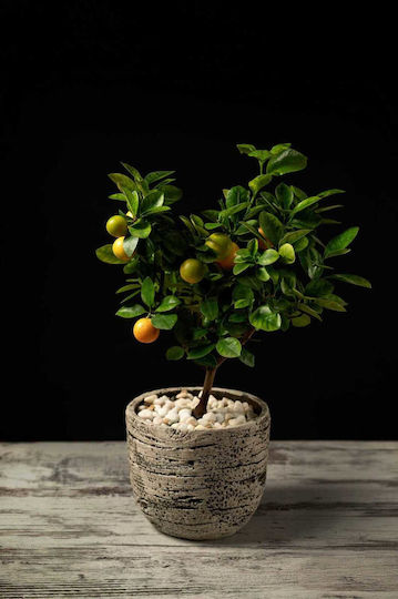 Aquaplant Ceramic Plant Pot Beige