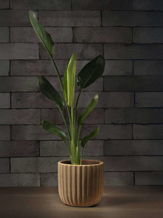 Aquaplant Κασπώ Μπεζ