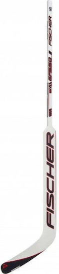 Fischer Sr '20 Baston de Hochei Negru