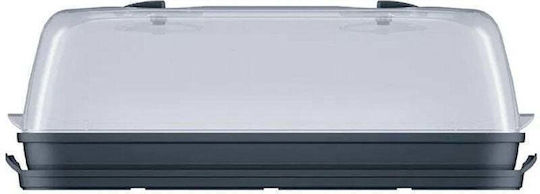 Prosperplast Seră Respana Table Mini Propagator de semințe 51x19.6x18.5cm
