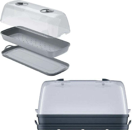 Prosperplast Seră Respana Table Mini Propagator de semințe 51x19.6x18.5cm