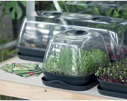 Prosperplast Seră Respana Table Mini Propagator de semințe 51x19.6x18.5cm
