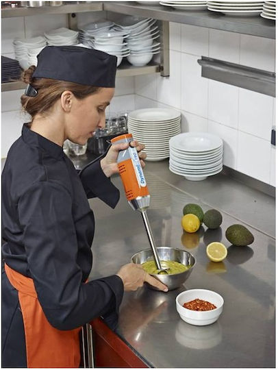 Dynamic MX091 Gewerblicher Stabmixer mit Achse 190mm und Leistung 250W