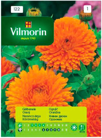 Vilmorin Samen Ringelblume