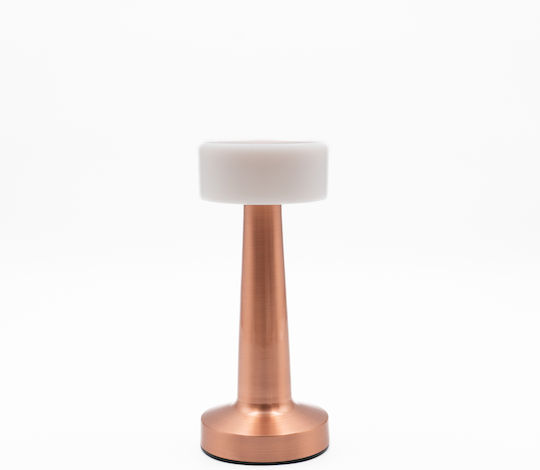 TnS Decorative Lighting LED