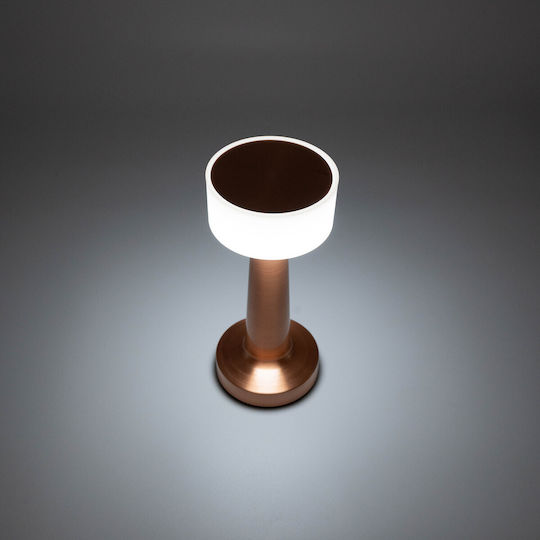 TnS Decorative Lighting LED