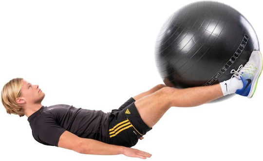Pure2Improve Ball Pilates 65cm 0.6kg in Black Color