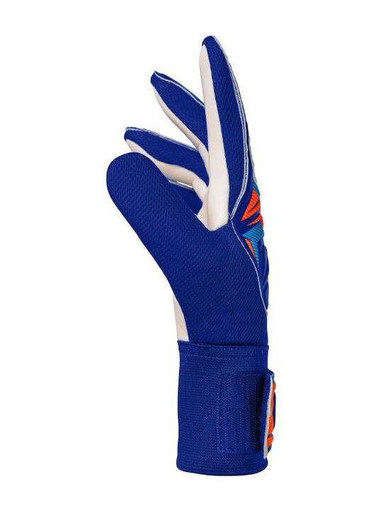 Reusch Reusch Attrakt Starter Solid Γάντια Τερματοφύλακα Ενηλίκων Μπλε
