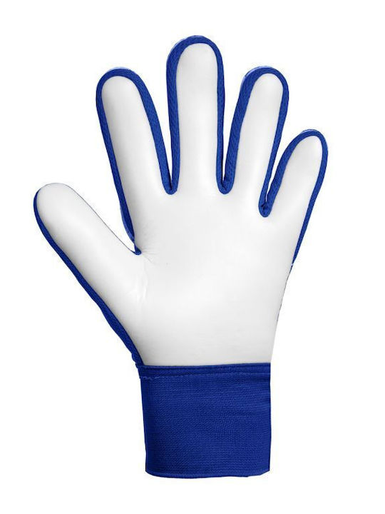 Reusch Reusch Attrakt Starter Solid Jnr Γάντια Τερματοφύλακα Παιδικά Μπλε