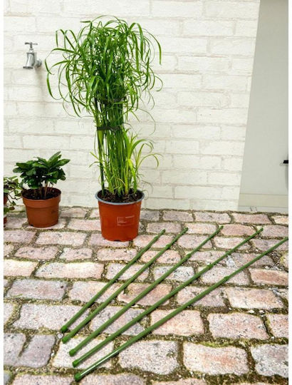 Kinzo Pflanzenspieße Stange 6 Stück 50-80 cm