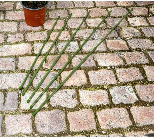 Kinzo Pflanzenspieße Stange 6 Stück 50-80 cm