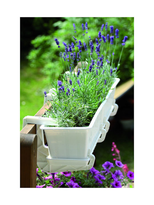 Prosperplast Plastic Flower Pot Brown 14cm