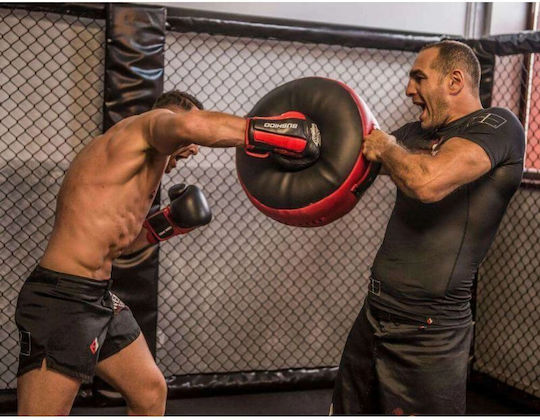 DBX Bushido KS-1 Ţintă pentru mână arte marţiale 1 buc. Negru