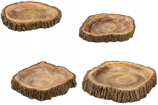Terra Natura Terrarium Decoration Wood Imitation Bowl 15 Cm