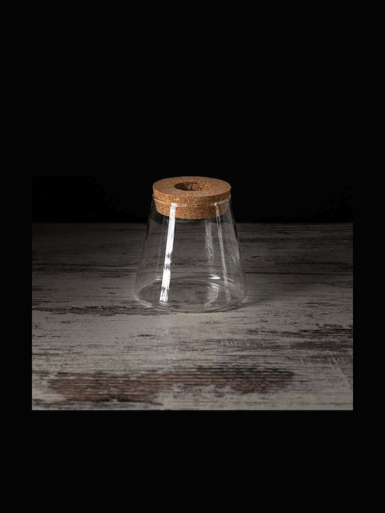 Хидропонно Clearweed Растение За Вътрешен Прозорец 12/20см Прозрачен Стъклен Конус 480мл