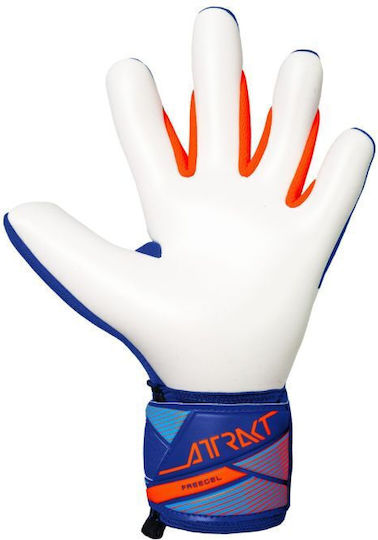 Reusch Attrakt Freegel Goalkeeper Gloves Adults Blue