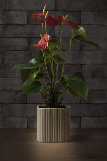 Aquaplant Ceramic Beige Plant Pot