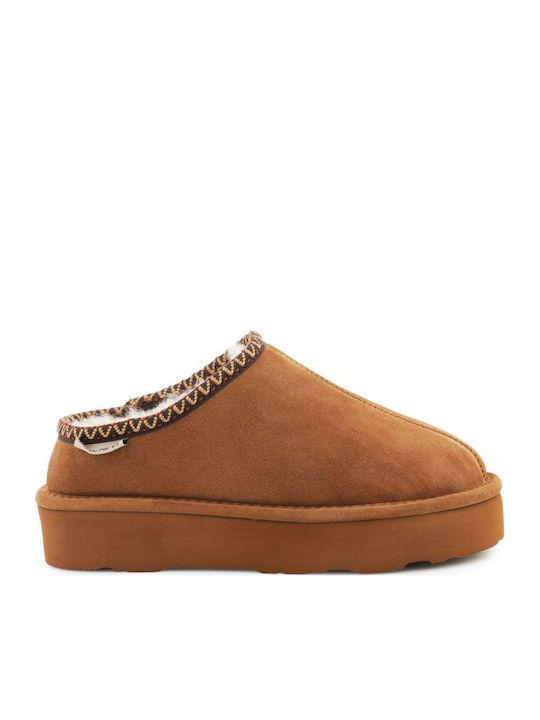 Bearpaw