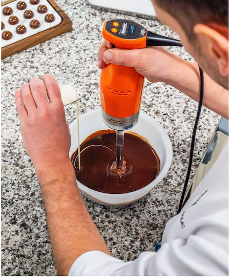 Dynamic Commercial Hand Blender with Power 250W