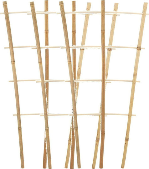 Progarden Plant Support Stands 75cm From Bamboo Set 3 Pieces