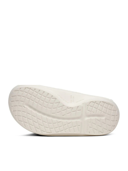 Flip Flops in Beige Colour 11-03-0063-Chalk-No36
