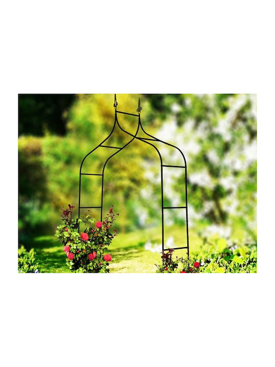 Garden Arch from Metal in Bronze Colour 135x38x245cm
